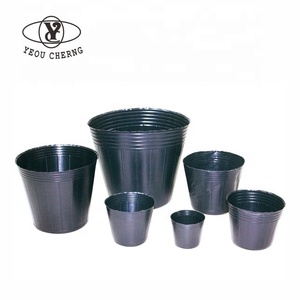Bandeja de Propagación Plana Aiermei STR-104 con Drenaje para Semillas de Vegetales y Flores, Germinación de Plántulas, Plástico PS 56.5x36.5cm - Product Image 5