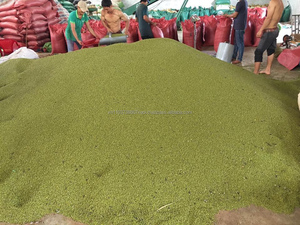 <b>GREEN</b> <b>BEAN</b> HIGH QUALITY FROM VIET NAM in 2020 - Product Image 5