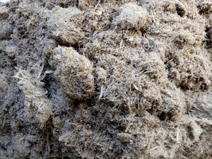 Papel de Bagazo de Caña de Azúcar/ Bagazo Crudo Fermentado/ Residuos Agrícolas - Product Image 6