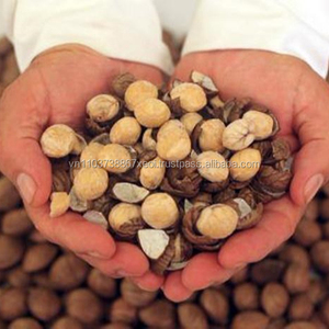 NUEZ INCA - Nuez Sacha Inchi - Especialidad Vietnamita, Cacahuete Inca/Nuez Sachi de Primera Calidad - Product Image 3