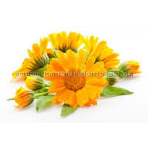 Aceite de caléndula para importación, el mejor distribuidor - Product Image 5