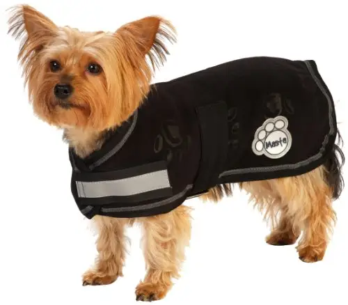 Yaygın olarak talep edilen köpek ceket/Pet giyim toplu alım için mevcut