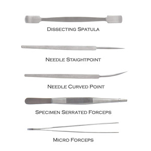 Kit de dissection pour étudiants en biologie, pinces chirurgicales en acier inoxydable de haute qualité, réutilisables, médicales 206 - Product Image 5