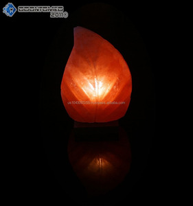 OdontoMed2011 himalaya resplandor hechos a mano de cristal NATURAL de sal del himalaya de lámpara con bombilla y cable - Product Image 3