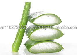 Extrait d'aloès aloevera poudre produits pour l'exportation fabriqué au Vietnam - Product Image 6