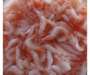 Crystal BABY-kri de couleur jaune pour bébé, petite chemise ventilée, cristal de corée du VIETNAM - Product Image 1