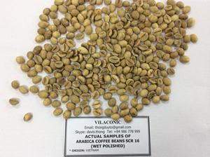 เมล็ดกาแฟอาราบิก้าโรบัสต้าสีเขียวจากเวียดนาม + 84398885178 Jenny Doan - Product Image 4