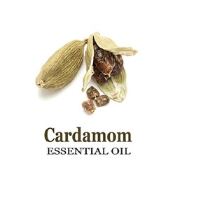 Aceite Esencial de Cardamomo 100% Puro y Orgánico, Botellas de 10ml-100ml, Destilado al Vapor, Semillas, Certificado GMP, Fragancia Dulce, Iluminador - Product Image 4