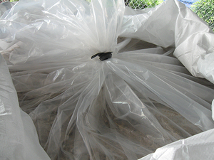 HOT HOT !!! Ensilage de maïs du VIETNAM avec la meilleure qualité et le meilleur prix d'exportation en 2022 - Product Image 4