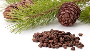 Nueces de pino de alta calidad - Product Image 3