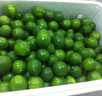 Citron vert/citron vert sans pépins Produit du Vietnam