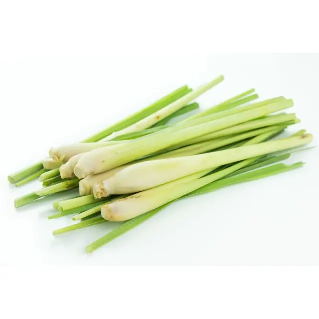 Bulk lemongrass essential oil - 100% pure natural organic lemon grass oil for DIY soaps candles and aromatherapy