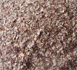 GIA GIA NGUYEN Boulettes de noix de cajou séchées en usine au Vietnam 3-10mm pour le bronzage en gros à prix réduit Durée de conservation de 12 mois - Product Image 1