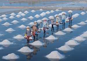 Sal marina artificial a granel, de Vietnam - Product Image 6
