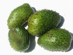 FRUIT DE COROSSOL FRAIS - Fruit de corossol vietnamien de haute qualité - Product Image 2