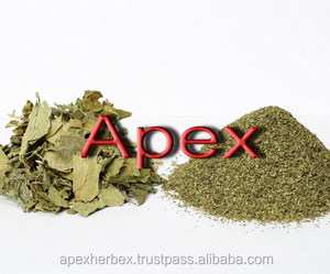 HERBE INDIENNE PURE Gymnema Sylvestre GURMAR Gymnema Sylvestre - Product Image 3