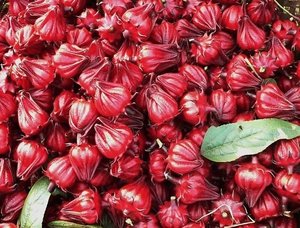 THÉ DE FLEURS SÉCHÉES THÉ DE ROSES SÉCHÉES PRODUIT DU VIETNAM - Product Image 6