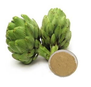 Alcachofa congelada-Polvo de alcachofa - Product Image 1