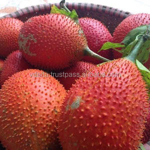 Huile de fruit de gac 100% naturelle et biologique du Vietnam pour la cuisine, emballage en vrac - Product Image 4