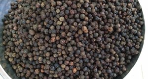 PHALCO JSC Épices séchées : Grande offre de poivre noir et blanc, cannelle de Cassia, en divers formats, saveur épicée conservée à l'huile brute - Product Image 3