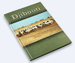 ปกแข็งกระดาษพิมพ์ปกแบบกำหนดเองการผูกที่สมบูรณ์แบบสำหรับใช้ในธุรกิจกระดาษแฟนซีและกระดาษออฟเซ็ตปกกระดาษศิลปะ - Product Image 4