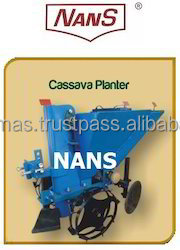 Plantación de yuca/macetero de yuca - Product Image 4