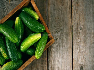 Extracto de pepino vietnamita en polvo cuidado de la belleza producto agrícola para vacaciones - Product Image 5