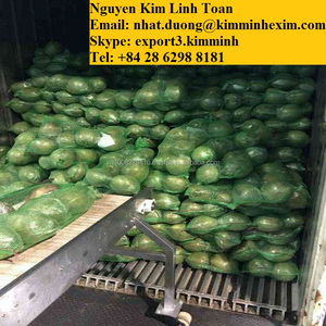 มะพร้าวสีเขียวอ่อนเขตร้อนและผลไม้กึ่งเขตร้อนสดทั่วไป - Product Image 4