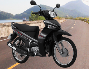 Motocicleta de inyección de combustible, 115cc - Product Image 3