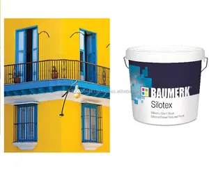 สีทาผิวแบบซิลิโคน - Product Image 1