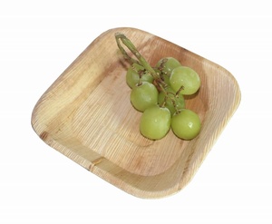 Placa Areca al mejor precio - Product Image 4