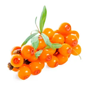 Ecocert น้ำมันเมล็ด Seabuckthorn ที่ผ่านการรับรอง