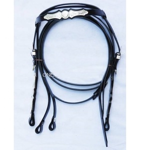 Cabezal de brida de estilo occidental para propietarios de caballos - Product Image 1
