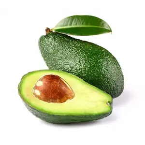 Miglior fornitore all'ingrosso sul prezzo dell'olio di Avocado