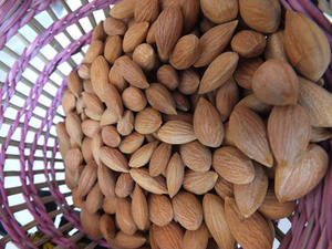 Mitades de albaricoque dulce enlatado con jarabe ligero Fruta seca de bajo precio para uso alimentario - Product Image 3