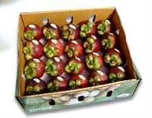 Producto de alta calidad de exportación de Mangosteen, el mejor precio - Product Image 3