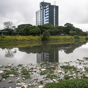 Bioculture pour traiter les eaux usées biologiquement avec produits biologiques - Product Image 4