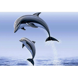 Carreaux muraux numériques en céramique émaillée de qualité supérieure - Product Image 1