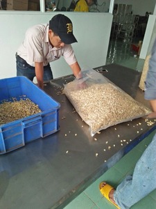 Cashewnoot Verwerkingsmachine/Groothandel 100% Natuurlijke <span class=keywords><strong>Bulk</strong></span> Cashewnoten Die Lp Wsp Cashewnoten