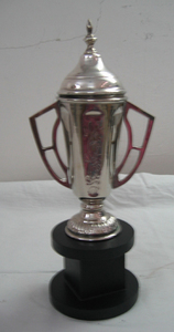 Trophée en aluminium avec la technique de soudure matérielle en métal de base - Product Image 3