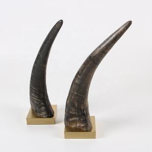 Disfraz de Cuerno de Búfalo de Agua, Talla Personalizada, Modelo 4648, Color Natural Pulido, Talla Personalizada IN;34648 BH-002 Europa Horn T/T - Product Image 1