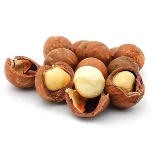 Cao Cấp Hạt MACADAMIA-Vỏ Hạt Macadamia WHATSAPP + 84-845-639-639