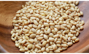 Cheap Pine Nut Kernels - Product Image 2