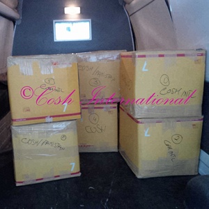 Corsé de algodón moldeador de cuerpo de plumas con Apliques de encaje ecológico con curvas extremas reductoras de cintura resistente Steelboned Underbust - Product Image 4