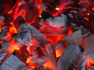 BURSA TURKEY BEST BARBECUE SATAY GRILLED CHARCOAL GRILL HARD WOOD CHARCOAL BBQ LUMP - Product Image 5