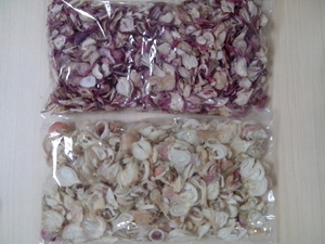 Rodajas de cebolla seca de VIETNAM, en 2020 - Product Image 4