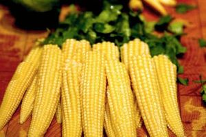 Maíz de bebé helado de Vietnam, barato - Product Image 3