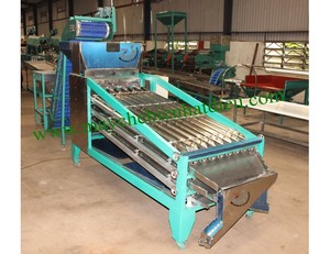 TTQ se spécialise dans les trieuses de noix de cajou de haute qualité Prix compétitifs pour les industries agricoles Usine vietnamienne directe - Product Image 2