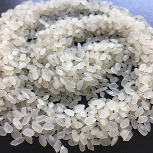 Arroz CALROSE, arroz más vendido para supermercado - Product Image 2