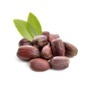 Proveedor a granel de líquido portador de aceite esencial de jojoba prensado en frío de materia prima de semillas para la producción de aceite esencial - Product Image 1